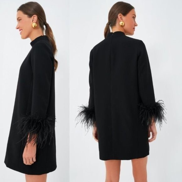 Tuckernuck NEW Black Feather Mod Ellie Long Sleeve Mini Cocktail Dress Size M - Picture 4 of 14